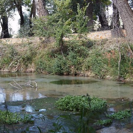 Hostal Rural El Nacimiento Deifontes Dış mekan fotoğraf
