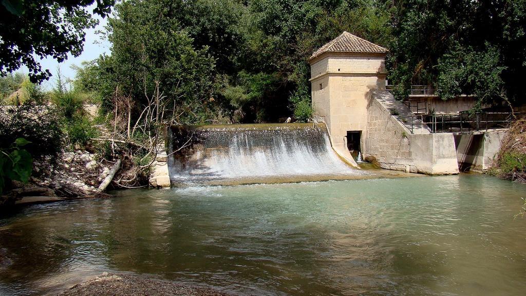Hostal Rural El Nacimiento Deifontes Dış mekan fotoğraf